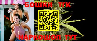 индика Будённовск