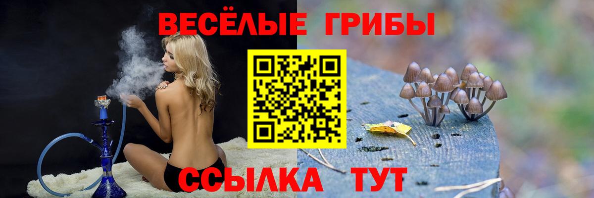 Галлюциногенные грибы MAGIC MUSHROOMS  Вход с VPN  Северобайкальск 